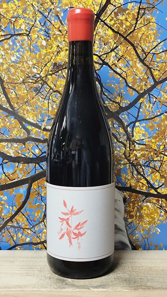 Arnot roberts gamay noir el dorado