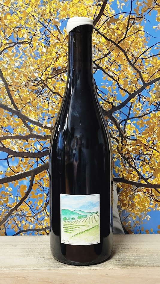 Wills wines du plateau syrah