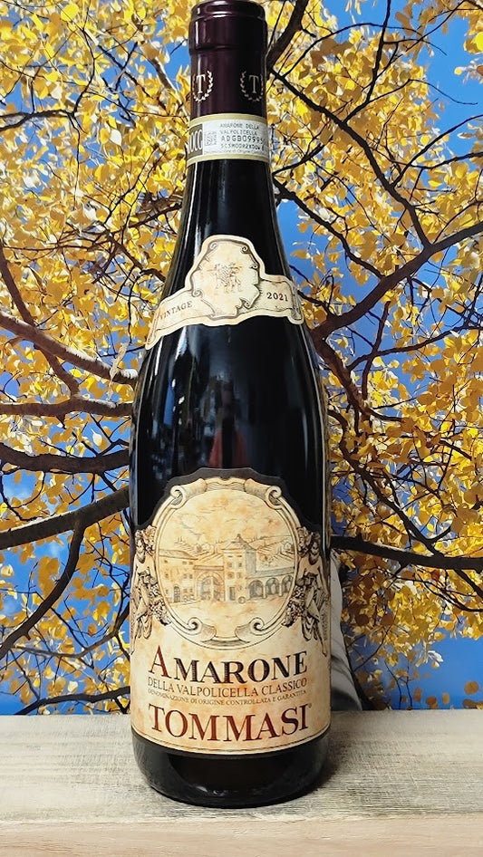 Tommasi amarone della valpolicella classico