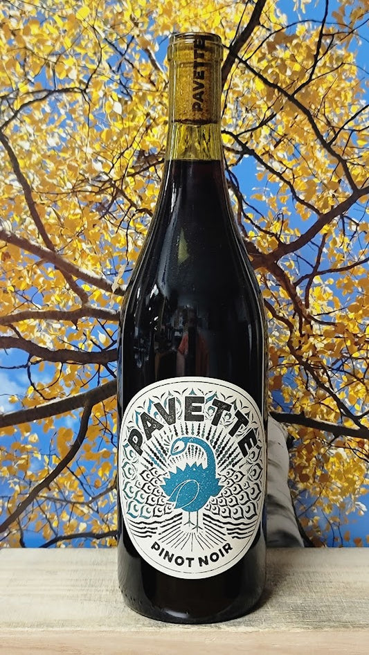 Pavette pinot noir