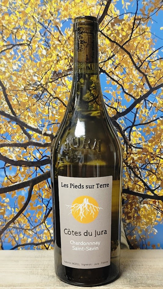 Valentin morel cotes du jura chardonnay saint savin