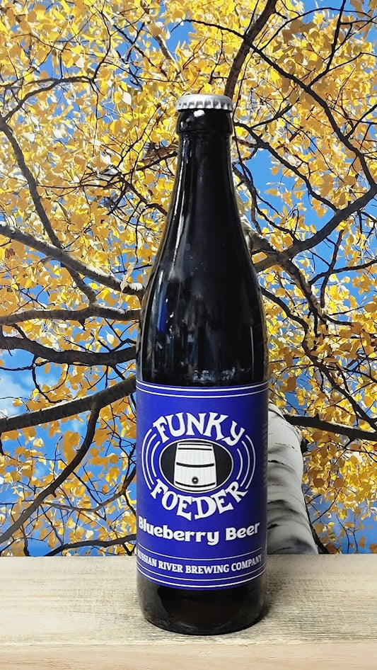 Russian river funky foeder blueberry beer