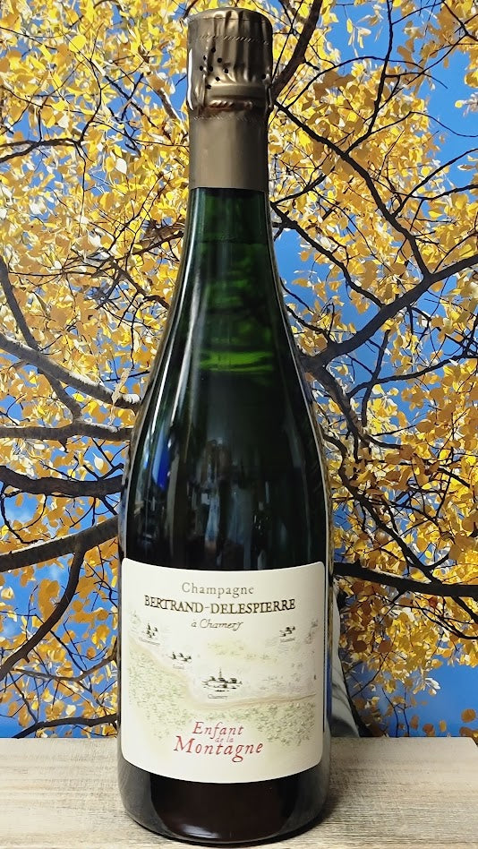 Bertrand-delespierre 'enfant de la montagne' 1cru extra brut