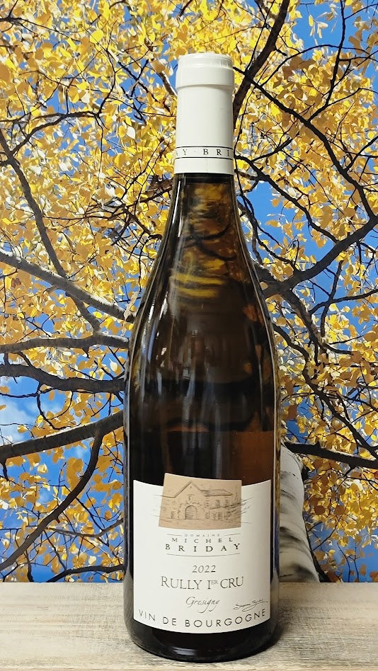 Domaine michel briday rulyy 1cru gresigny