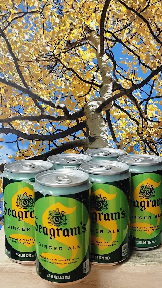 Seagram's ginger ale cans 7.5oz