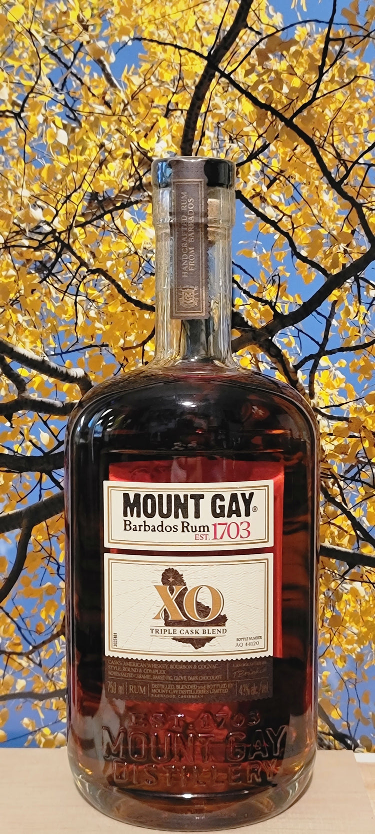 Mount gay extra old