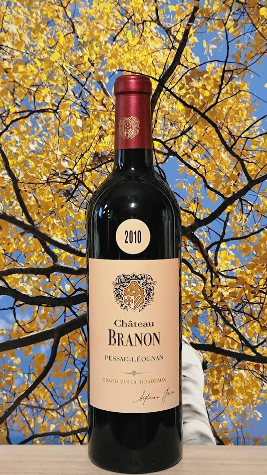 Chateau branon