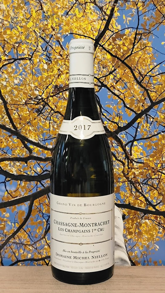 Domaine michel niellon chassag-montrachet les champgains 1cr