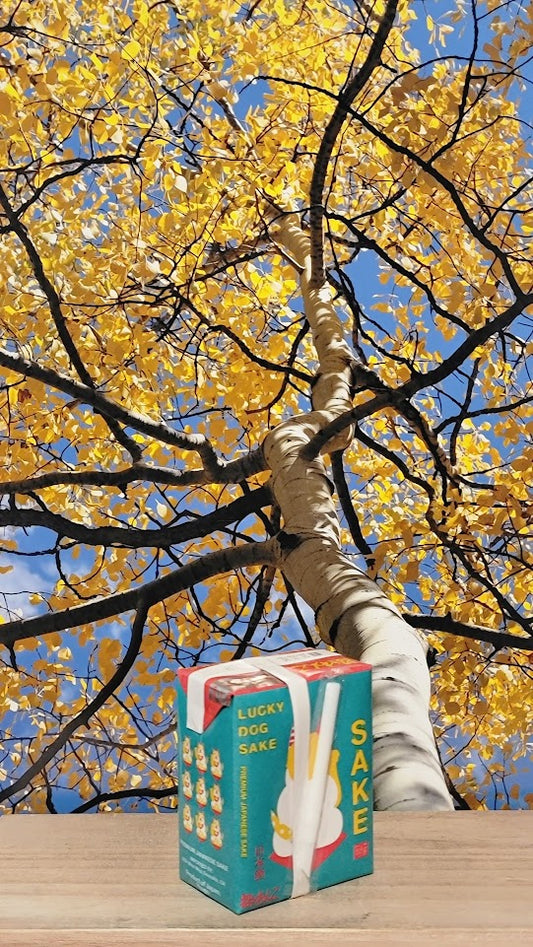 Maneki lucky dog sake box