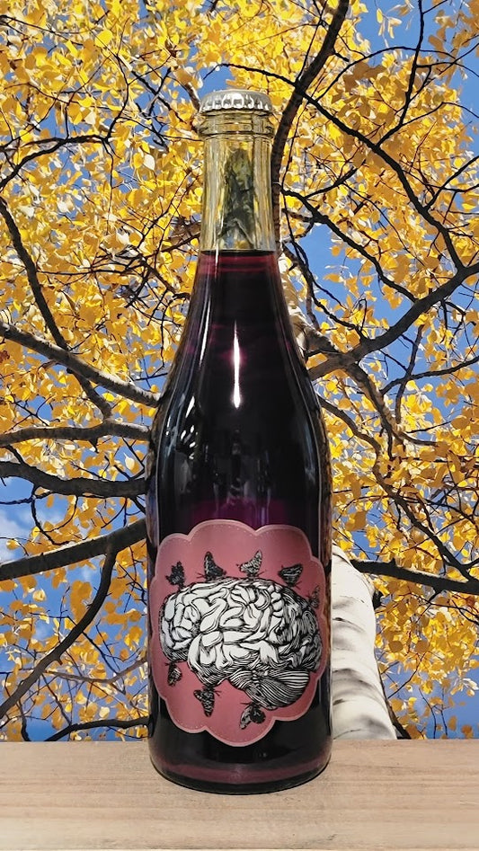 Art + science cerebral sparkling fruit wine