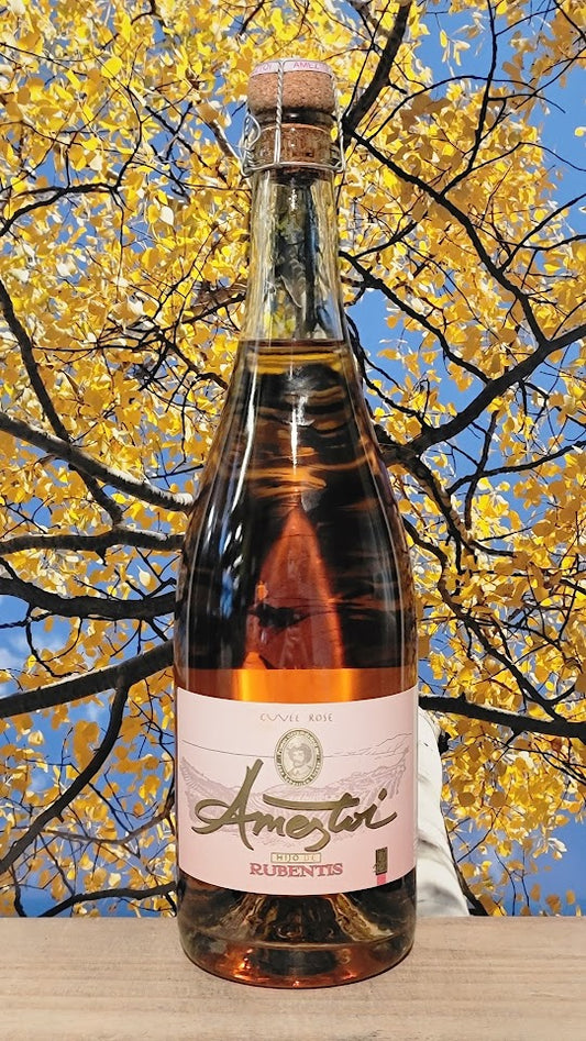 Ameztoi hijo de rubentis hondarribi beltza cuvee rose