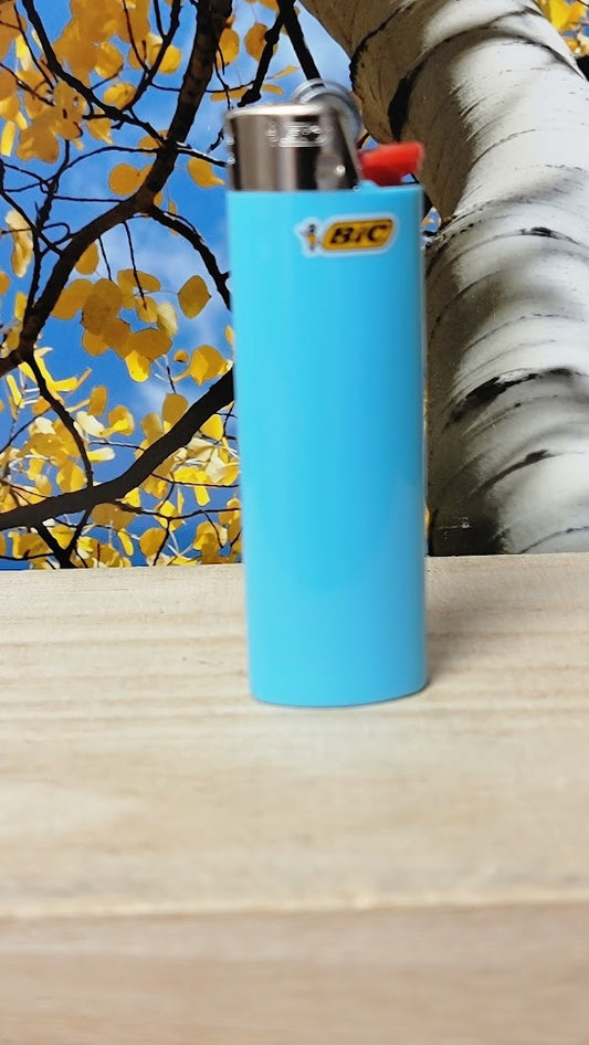 Bic lighter singl